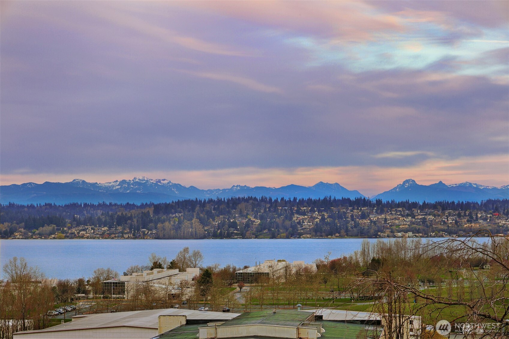 7710 57th Avenue NE, Seattle, WA 98115