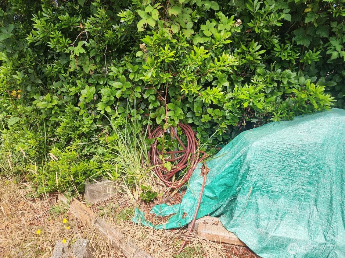 339 Sand Dune Avenue NW, Ocean Shores, WA 98569