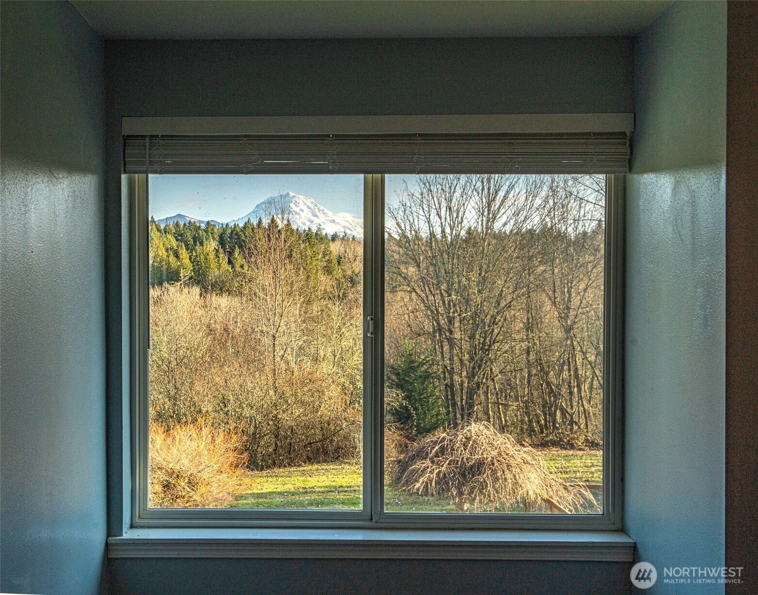 14115 263rd Avenue E, Buckley, WA 98321