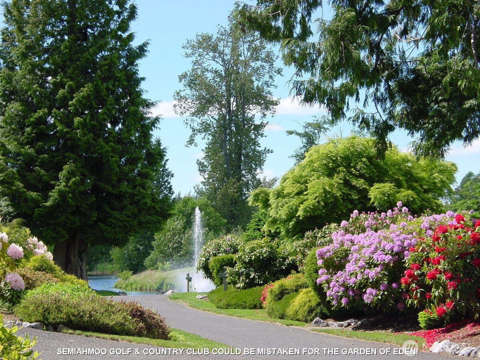 5526 Puffin Place , Blaine, WA 98230