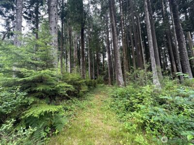 44 Robin Lane , Pacific Beach, WA 98571 - Photo 1