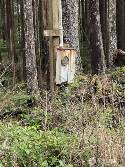 44 Robin Lane , Pacific Beach, WA 98571 - Photo 4