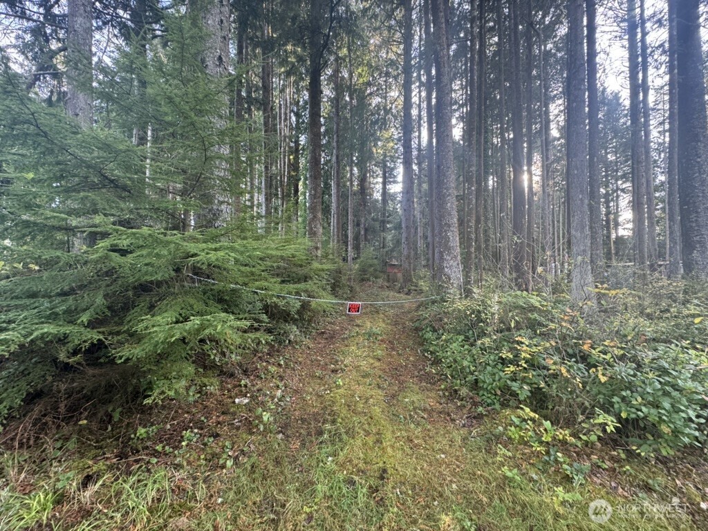 44 Robin Lane , Pacific Beach, WA 98571