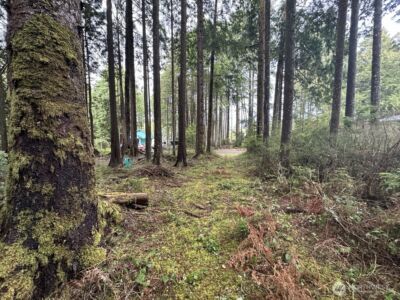 44 Robin Lane , Pacific Beach, WA 98571 - Photo 6