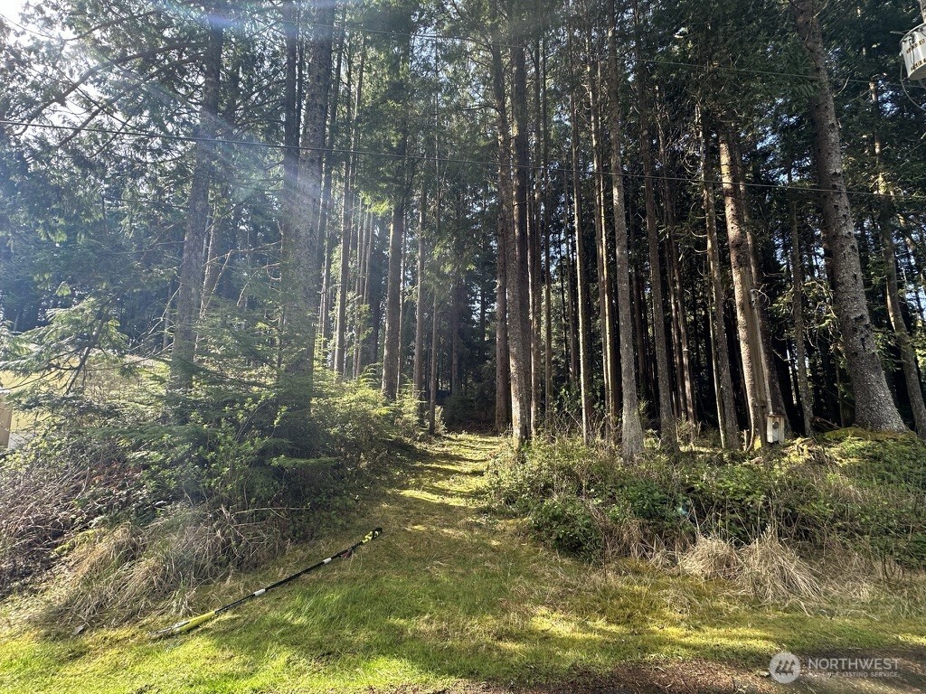 44 Robin Lane , Pacific Beach, WA 98571