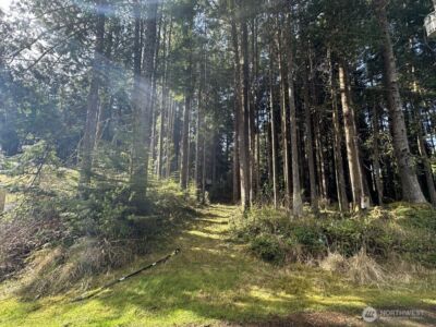 44 Robin Lane , Pacific Beach, WA 98571 - Photo 7