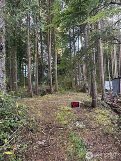 44 Robin Lane , Pacific Beach, WA 98571 - Photo 8