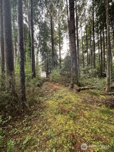 44 Robin Lane , Pacific Beach, WA 98571 - Photo 9