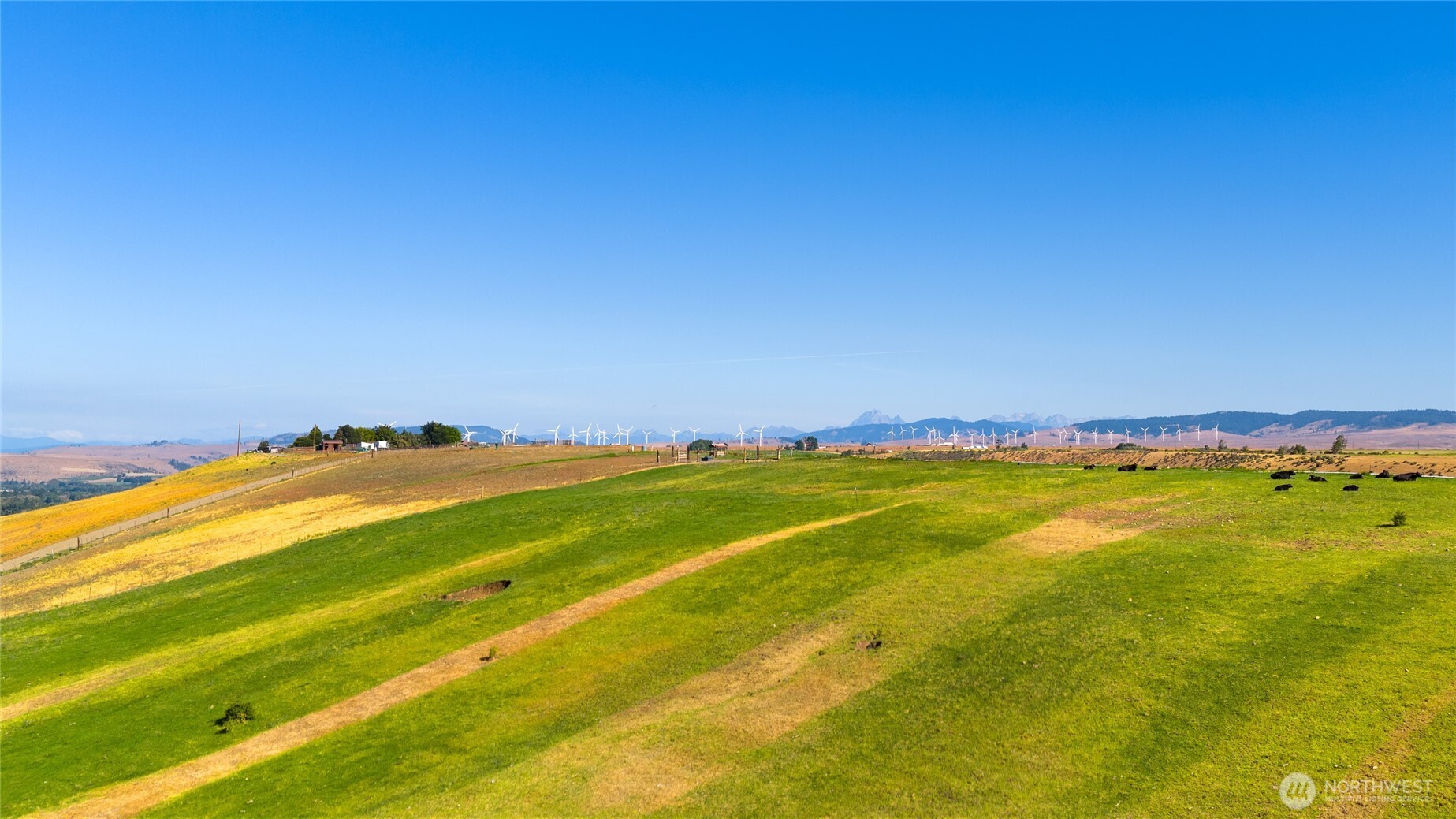 14 Sundance Lane , Ellensburg, WA 98926