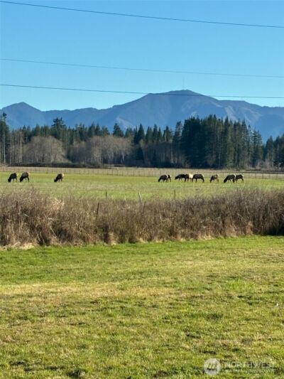 71 W Doggone Lane , Elma, WA 98541 - Photo 26