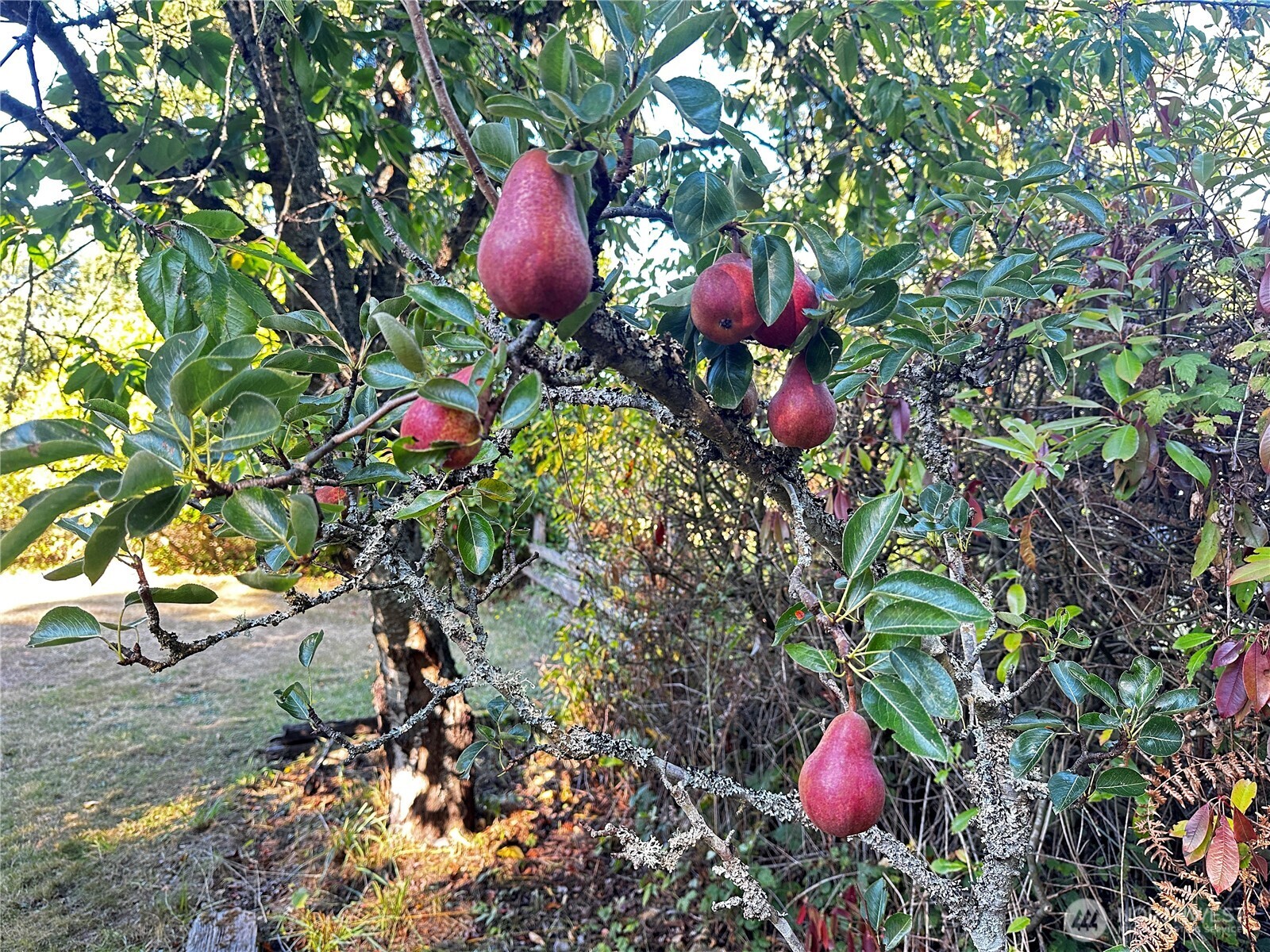 196 N Solmar Drive , Sequim, WA 98382