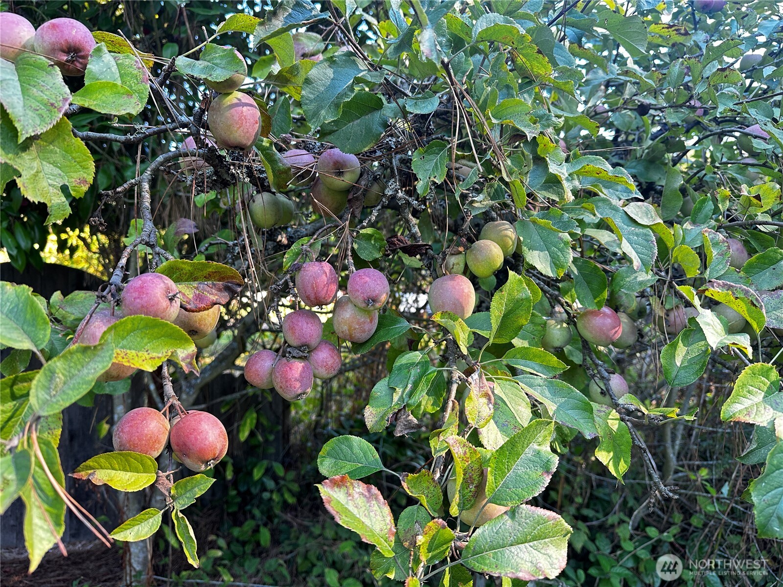 196 N Solmar Drive , Sequim, WA 98382