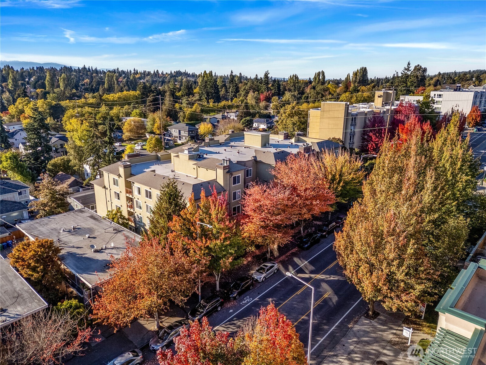 8745 Greenwood Avenue N #311, Seattle, WA 98103