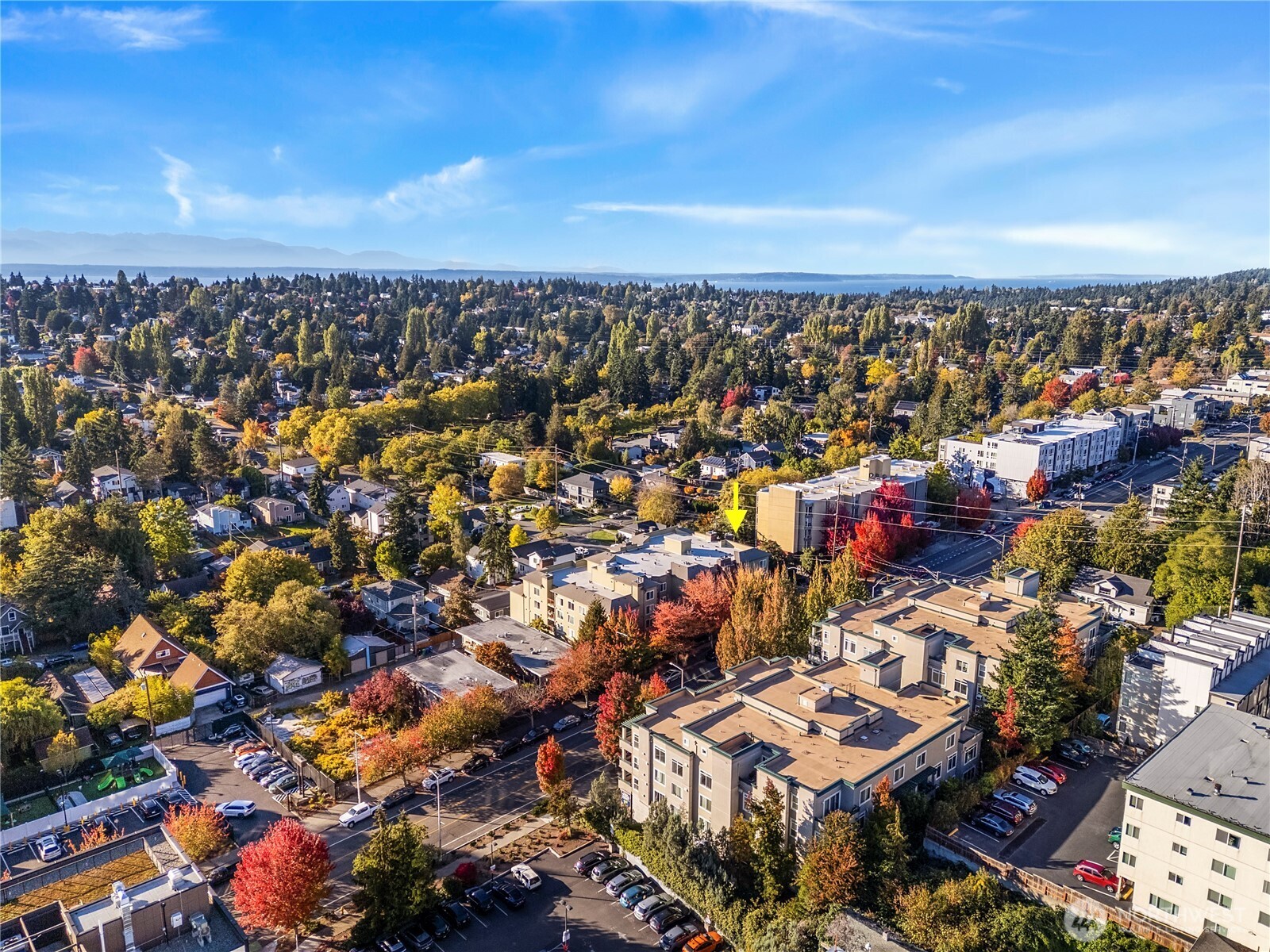 8745 Greenwood Avenue N #311, Seattle, WA 98103