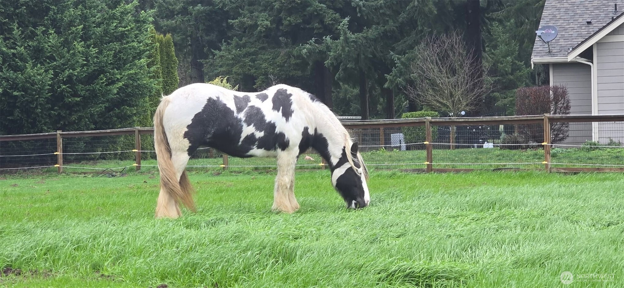 8106 Spurgeon Creek Road SE, Olympia, WA 98503