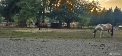 8106 Spurgeon Creek Road SE, Olympia, WA 98503 - Photo 29