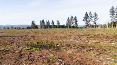 121 Beckett Lane , Chehalis, WA 98532 - Photo 6