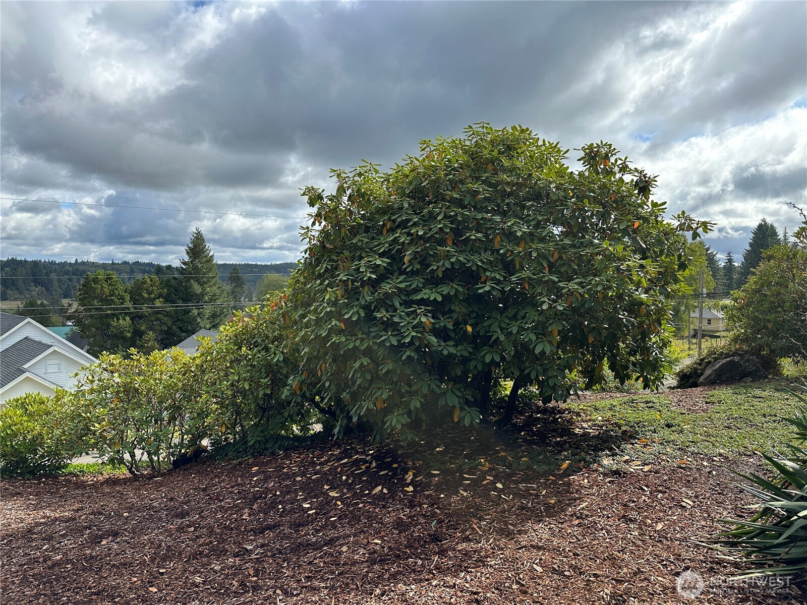 910 Barnhart Street , Raymond, WA 98577