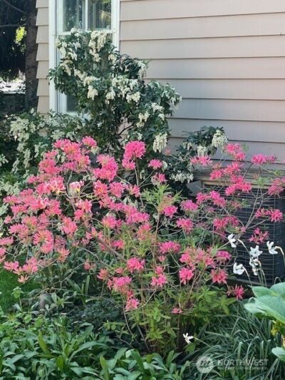 130 Dice Place , Walla Walla, WA 99362 - Photo 37