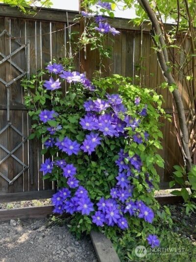 130 Dice Place , Walla Walla, WA 99362 - Photo 39