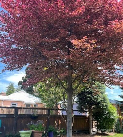 130 Dice Place , Walla Walla, WA 99362 - Photo 40