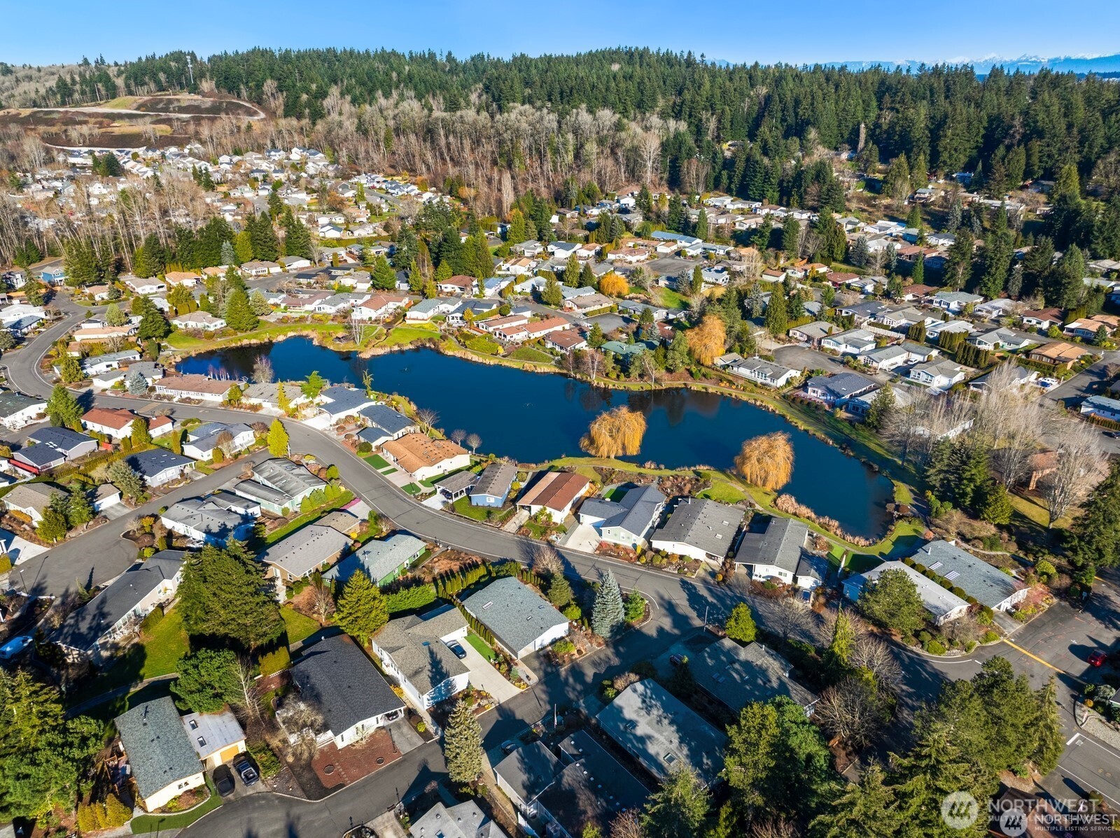 931 236th Place SW, Bothell, WA 98021