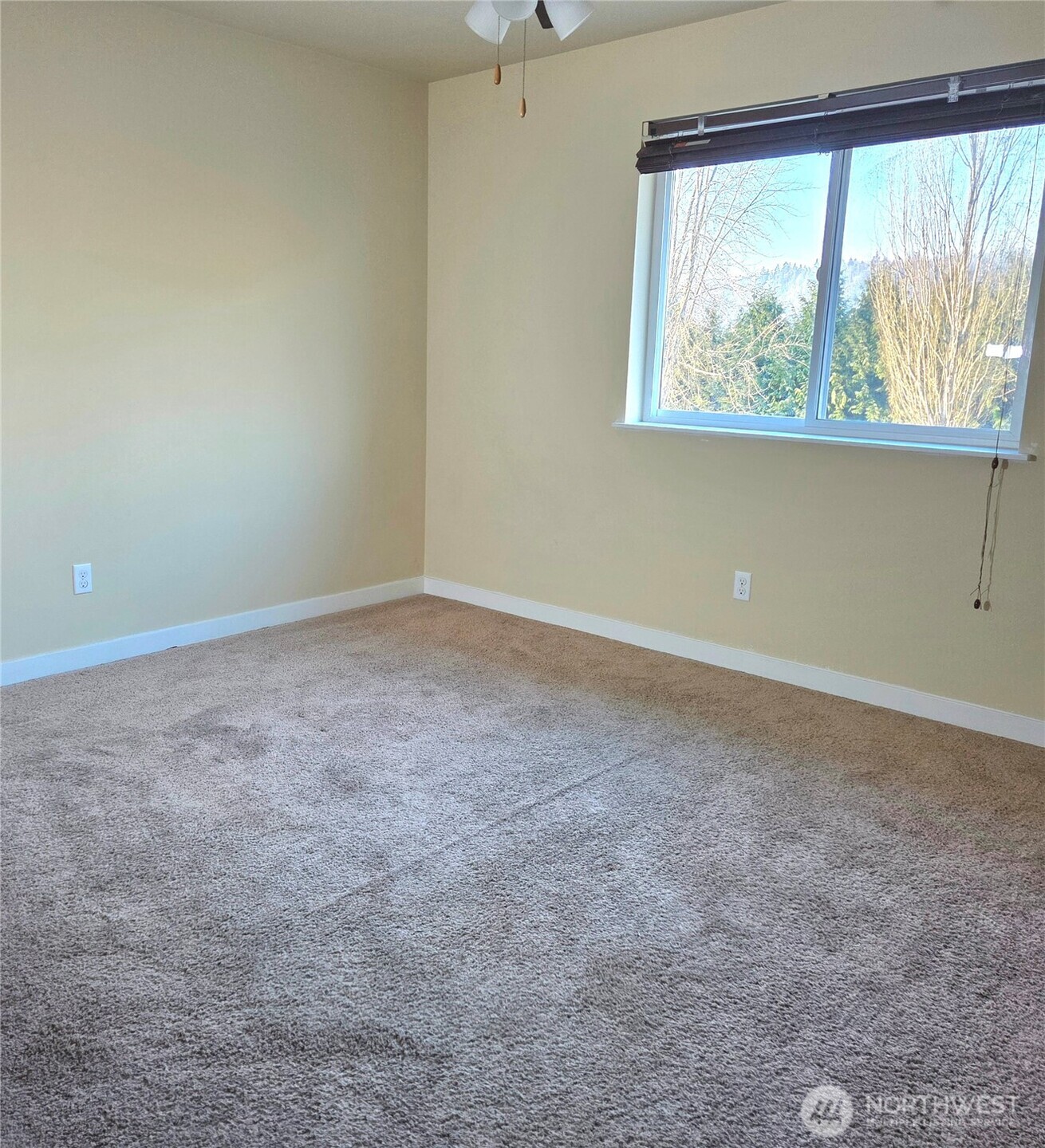 1605 Riddell Avenue NE, Orting, WA 98360-7474