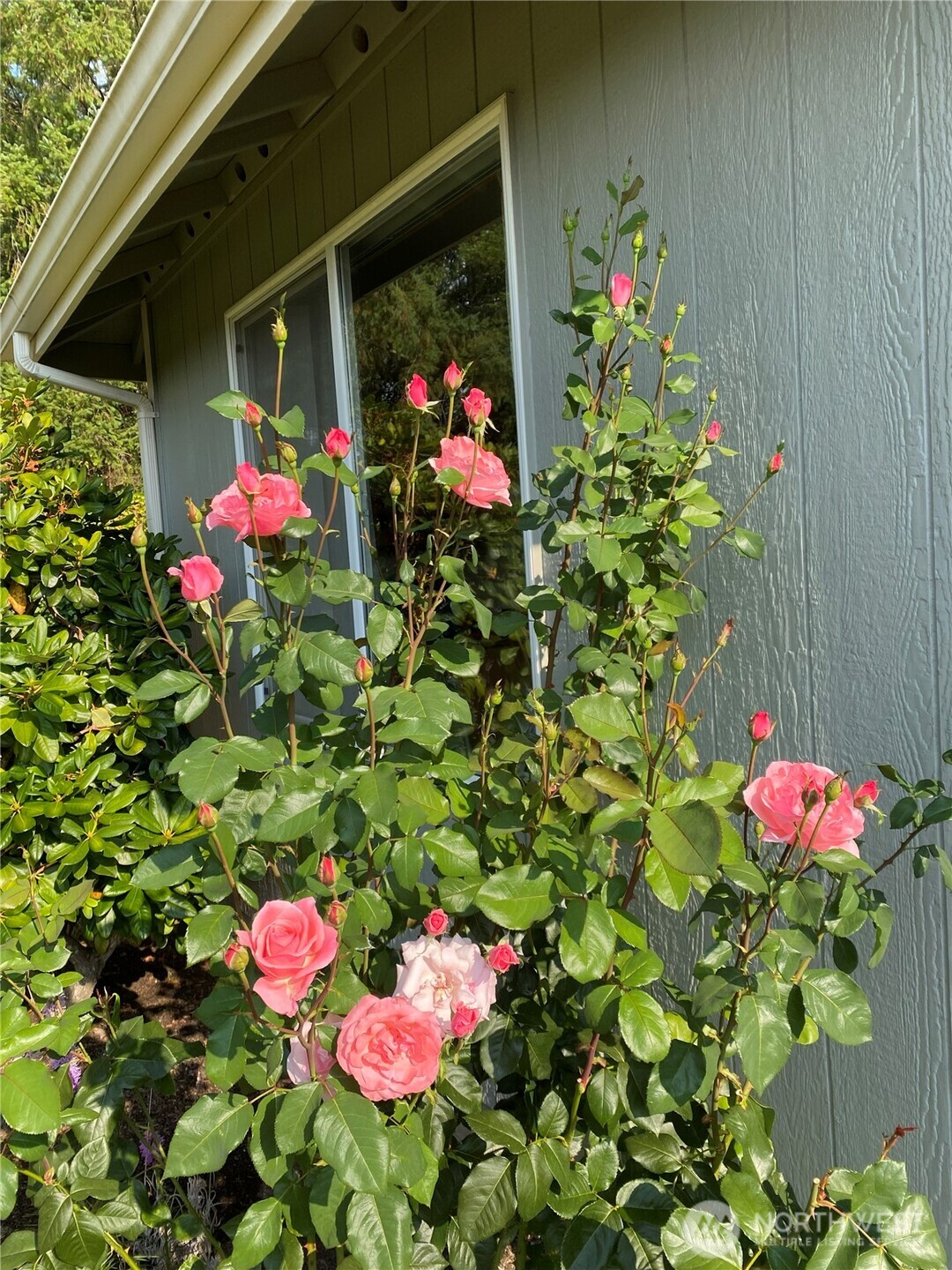 26733 227th Avenue SE, Maple Valley, WA 98038