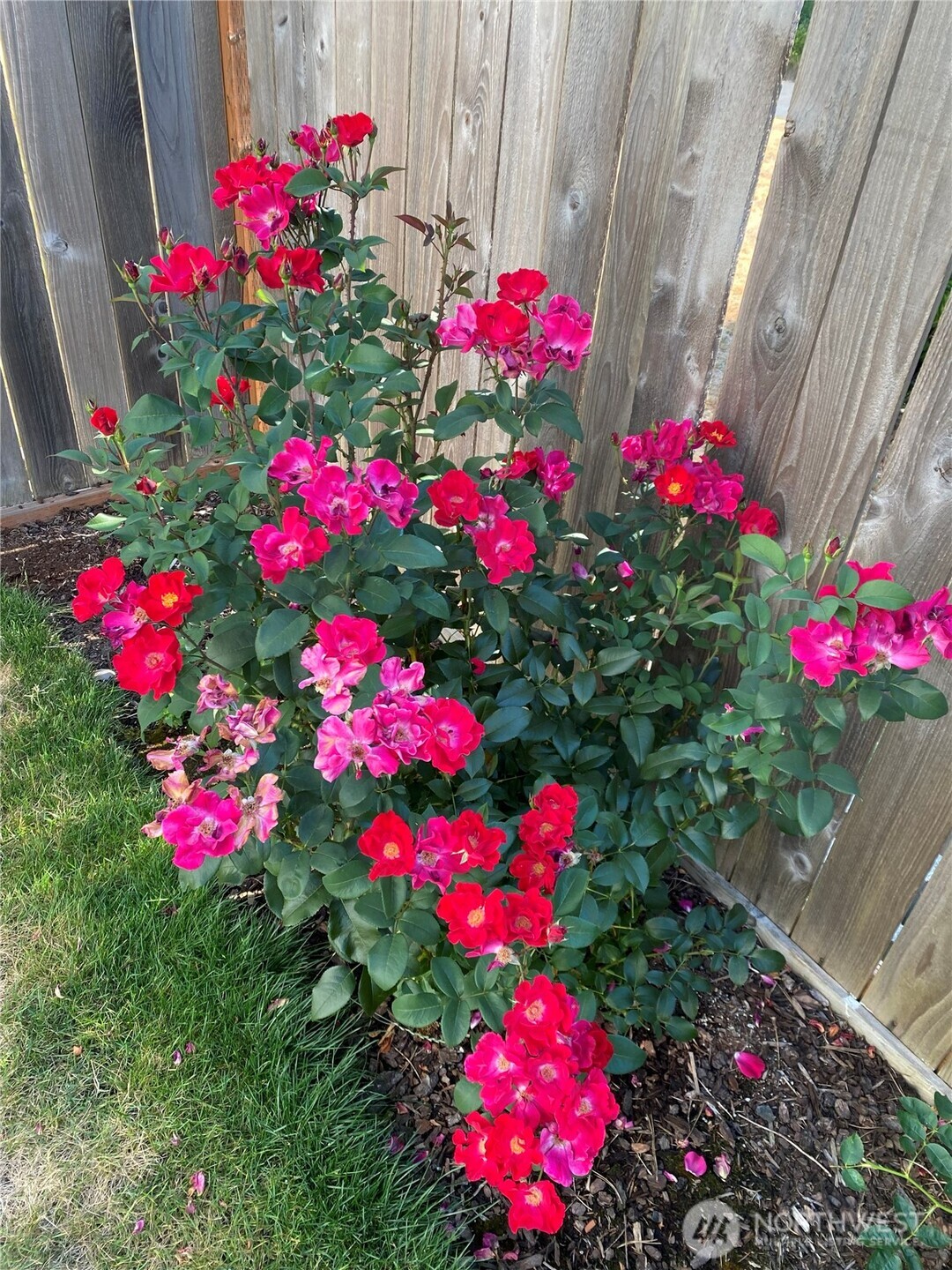 26733 227th Avenue SE, Maple Valley, WA 98038