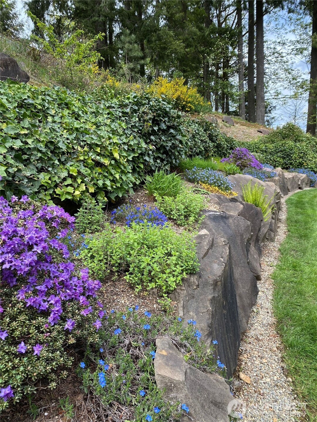 26733 227th Avenue SE, Maple Valley, WA 98038