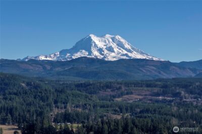 41314 111th Avenue Ct E, Eatonville, WA 98328 - Photo 11