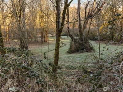 218 38 Bowen Road , Mossyrock, WA 98564-9605 - Photo 28