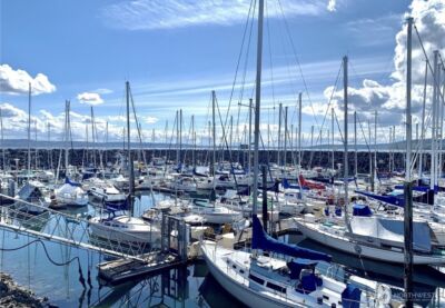 22532 6th Avenue S #A2, Seattle, WA 98198-6844 - Photo 33