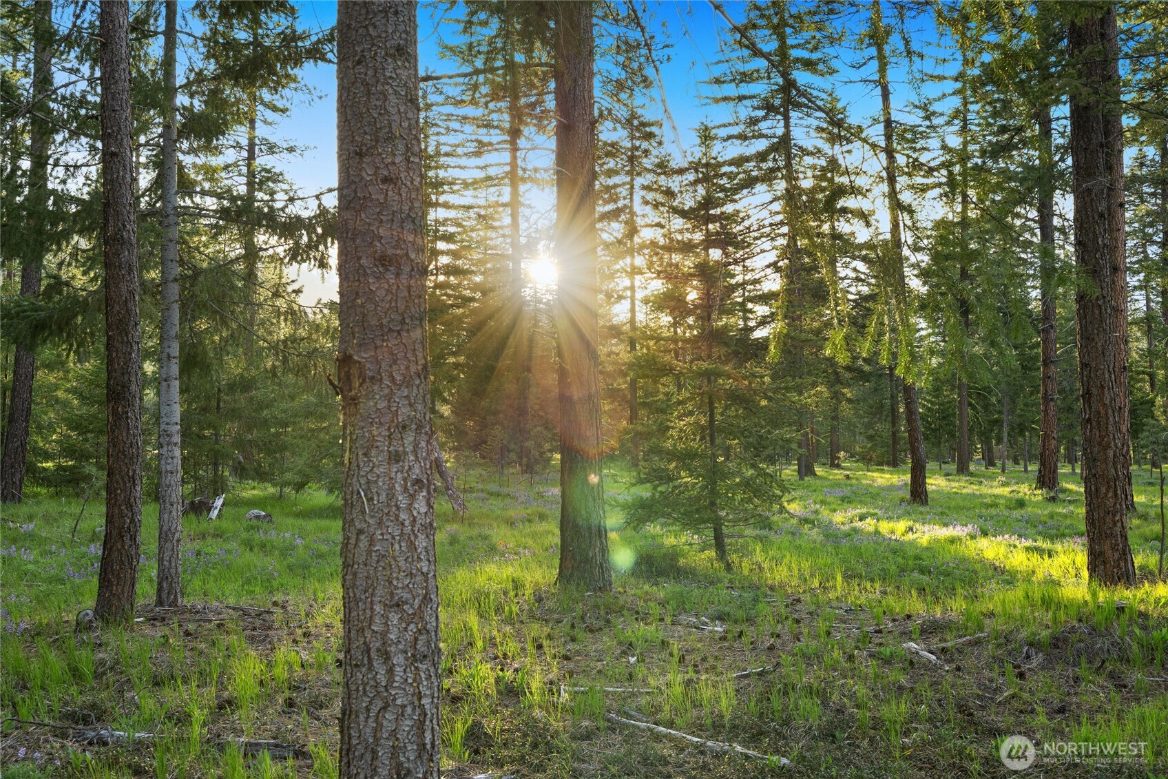 1001 Domerie Park Loop , Cle Elum, WA 98922