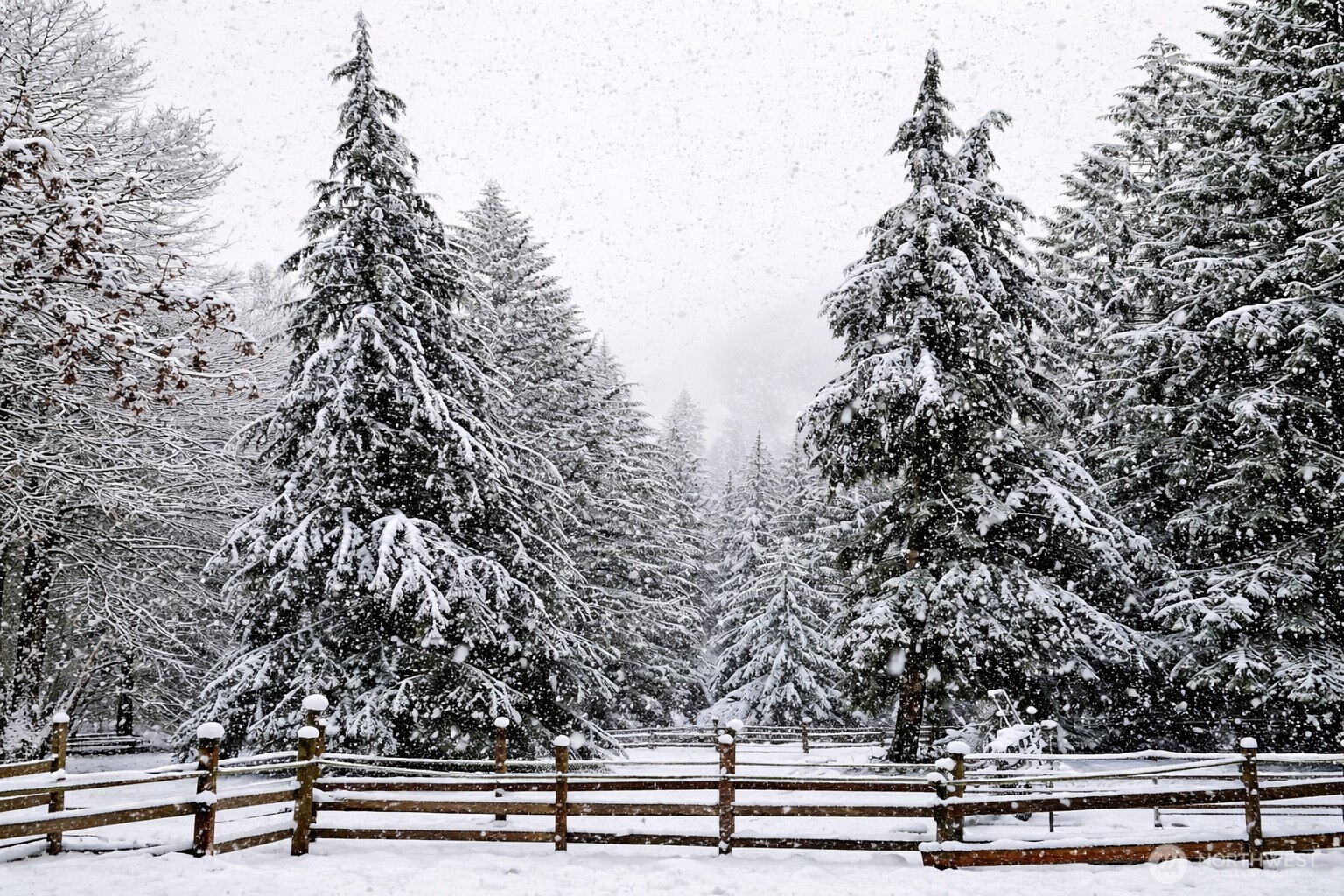 15116 346TH Avenue NE, Duvall, WA 98019