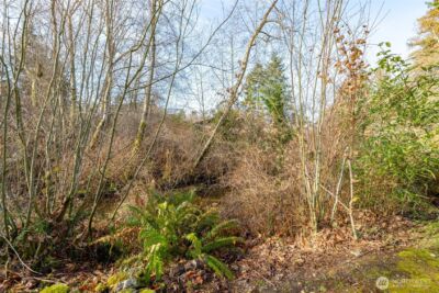 2408 148th Street SW, Lynnwood, WA 98087 - Photo 38