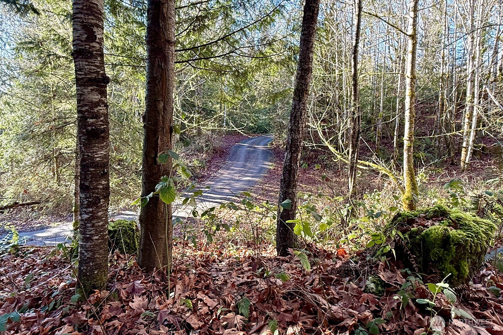 12280 Center Road , Quilcene, WA 98376