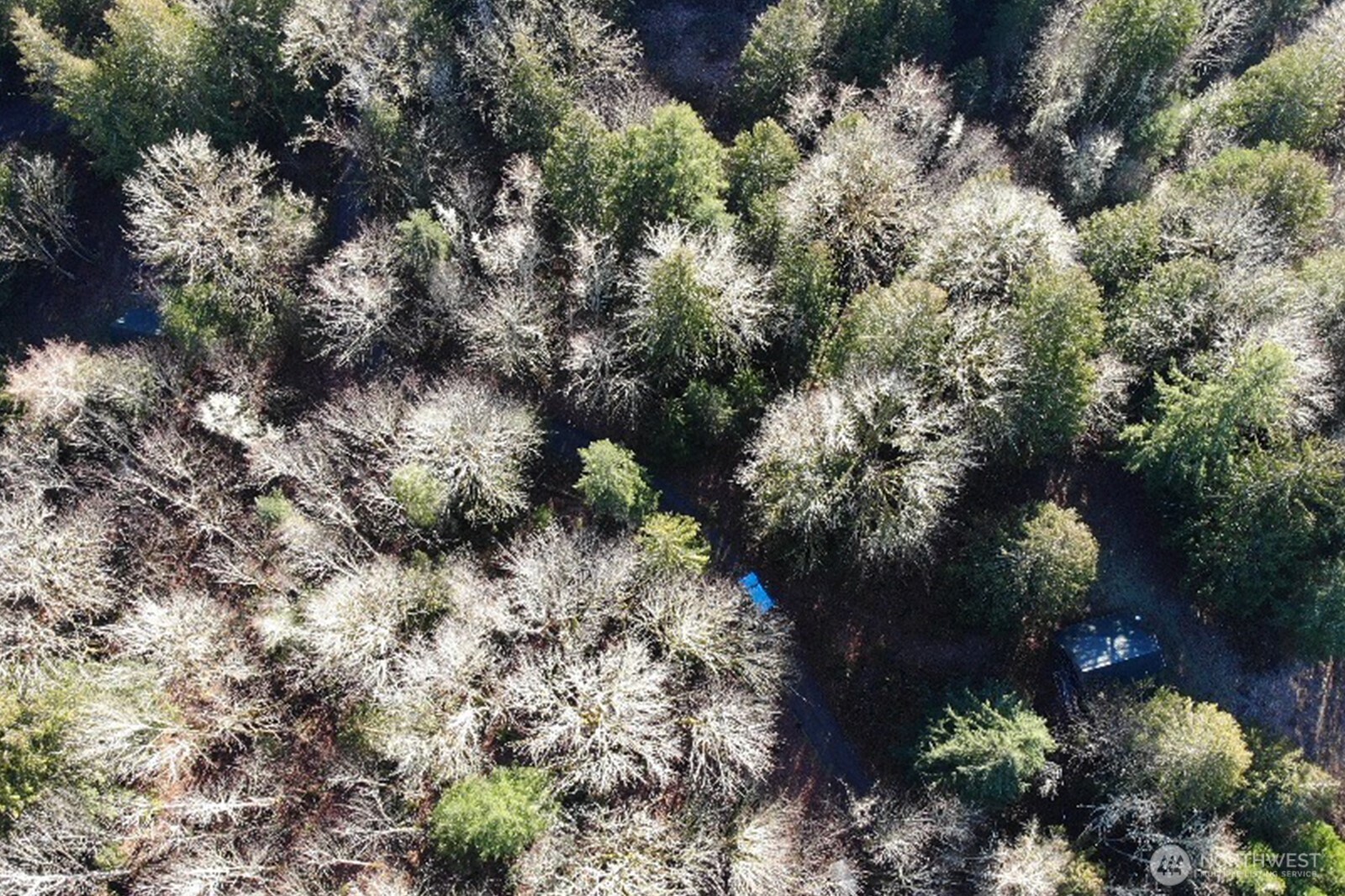 12280 Center Road , Quilcene, WA 98376