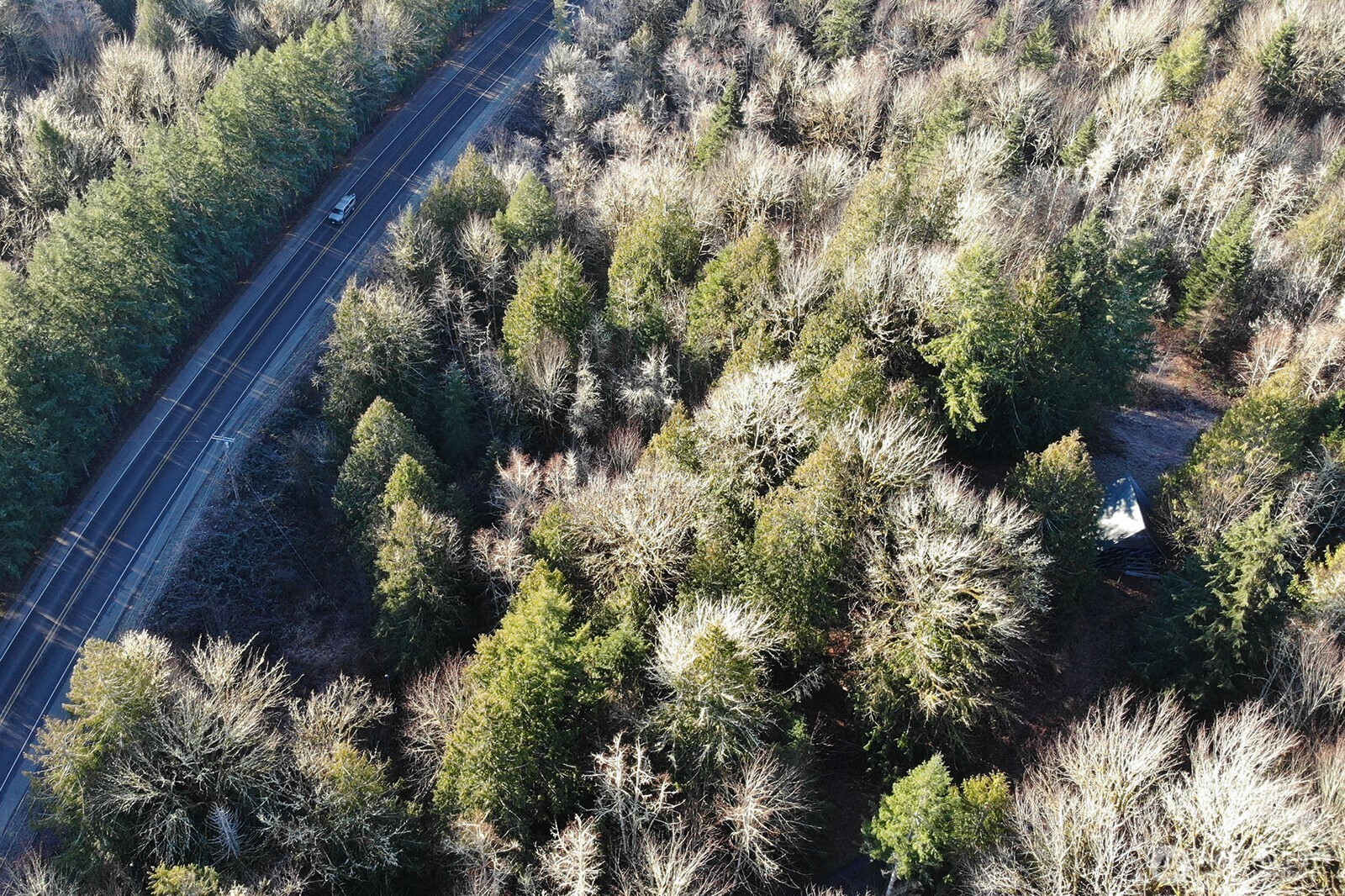 12280 Center Road , Quilcene, WA 98376