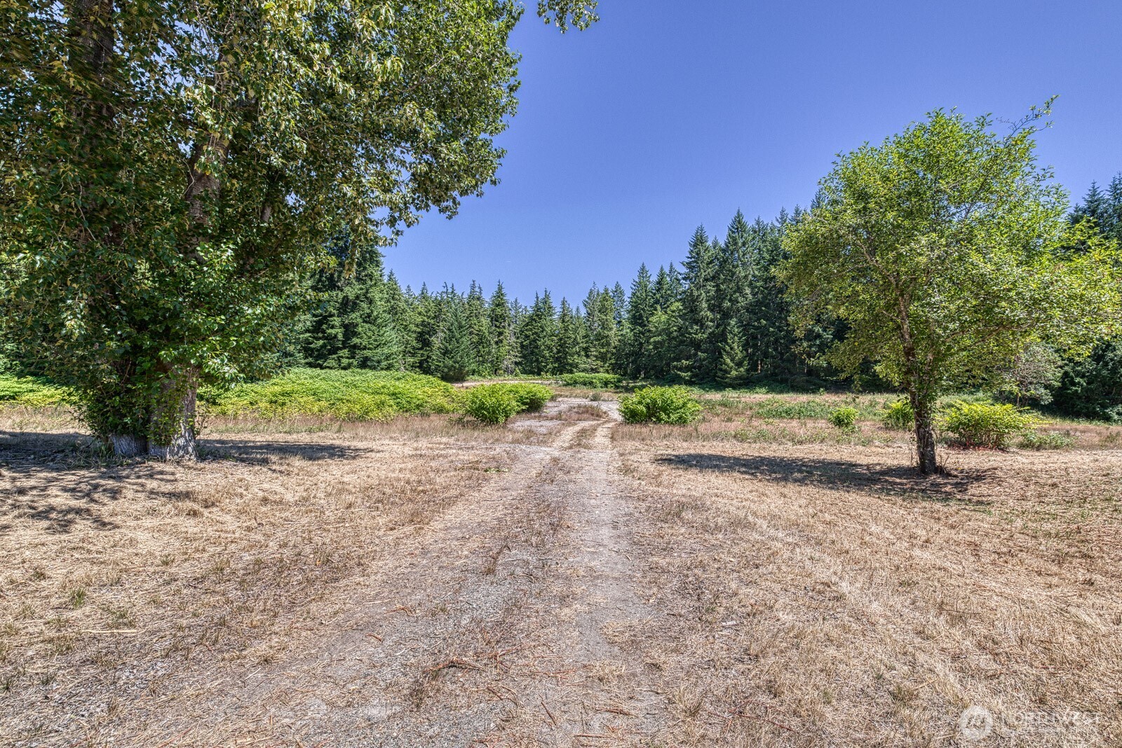 2937 131st Street NW, Gig Harbor, WA 98332