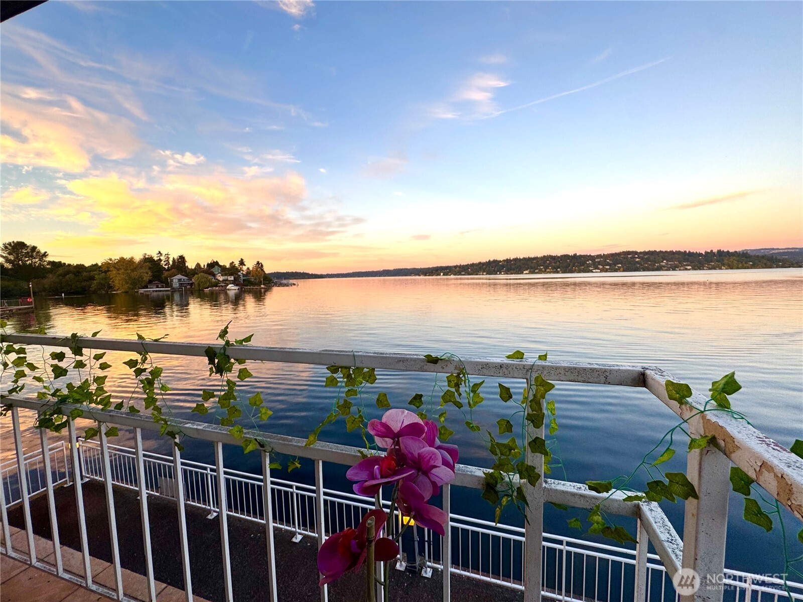 9500 Rainer Avenue S #212, Seattle, WA 98118