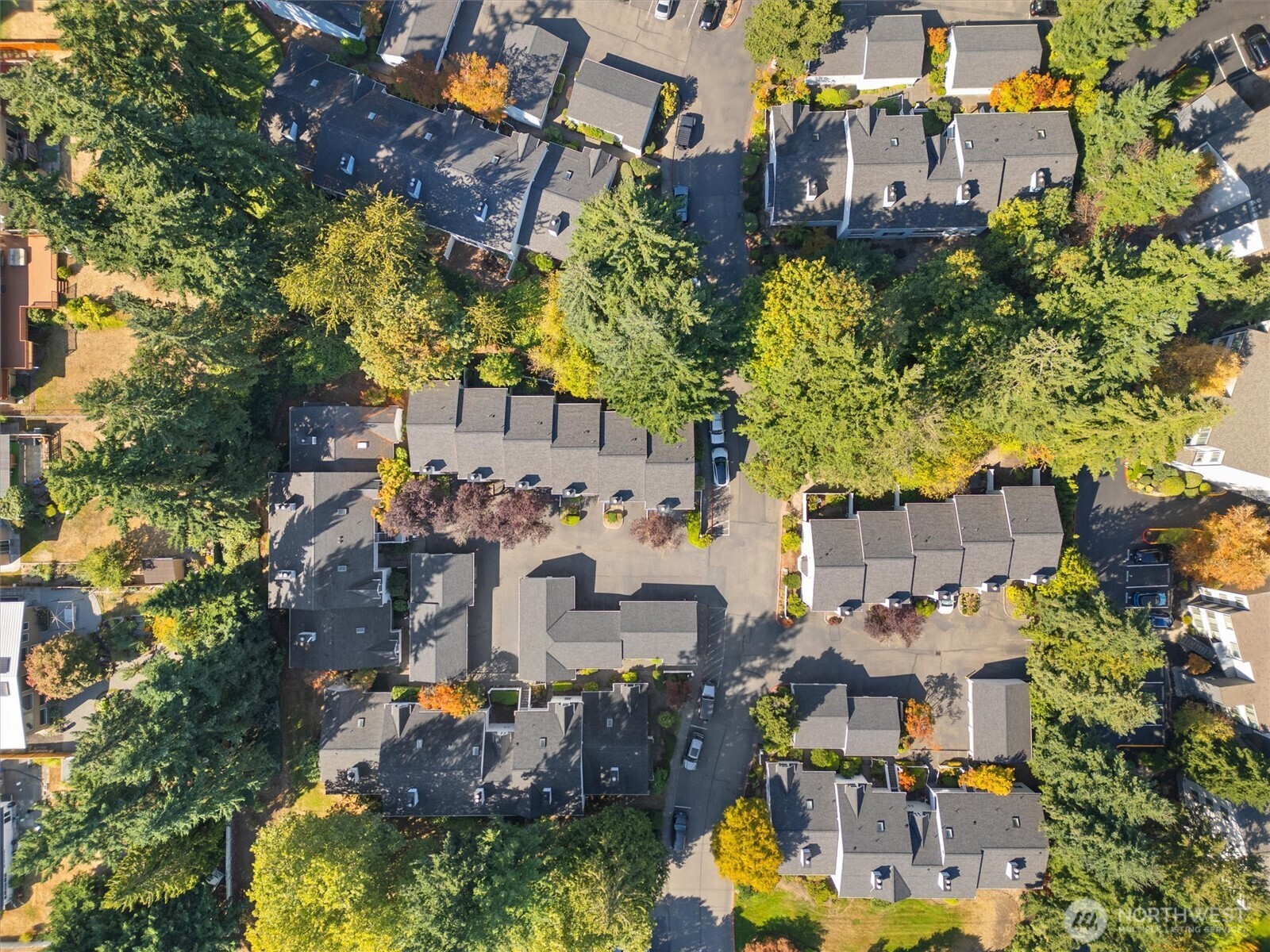 12351 SE 41st Lane #45, Bellevue, WA 98006