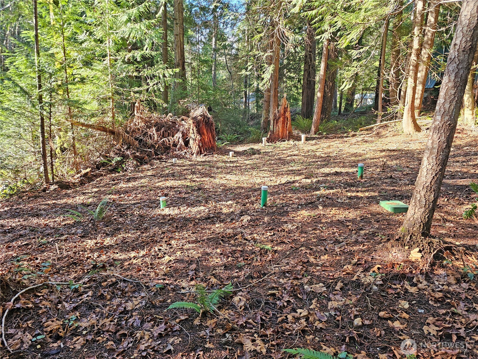 121 Bay View Avenue , Brinnon, WA 98320