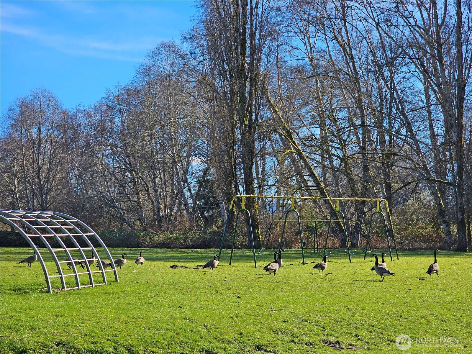 121 Bay View Avenue , Brinnon, WA 98320