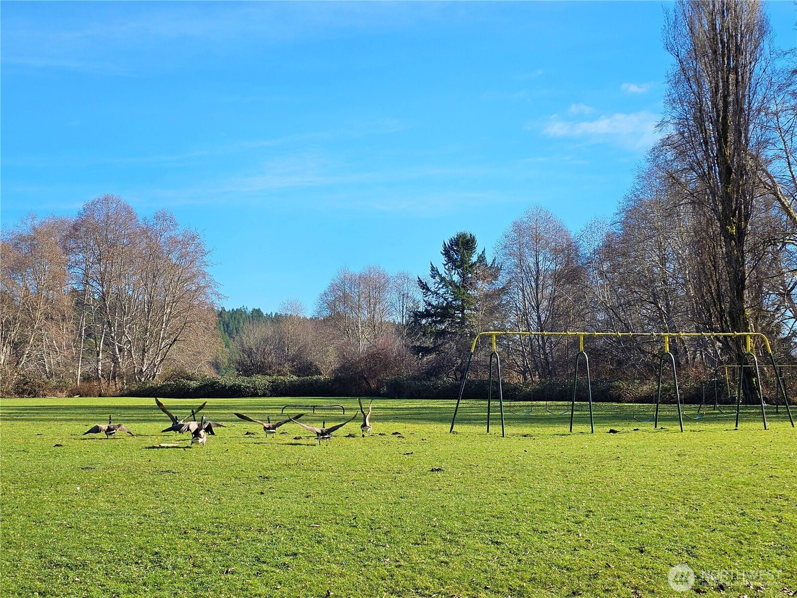 121 Bay View Avenue , Brinnon, WA 98320