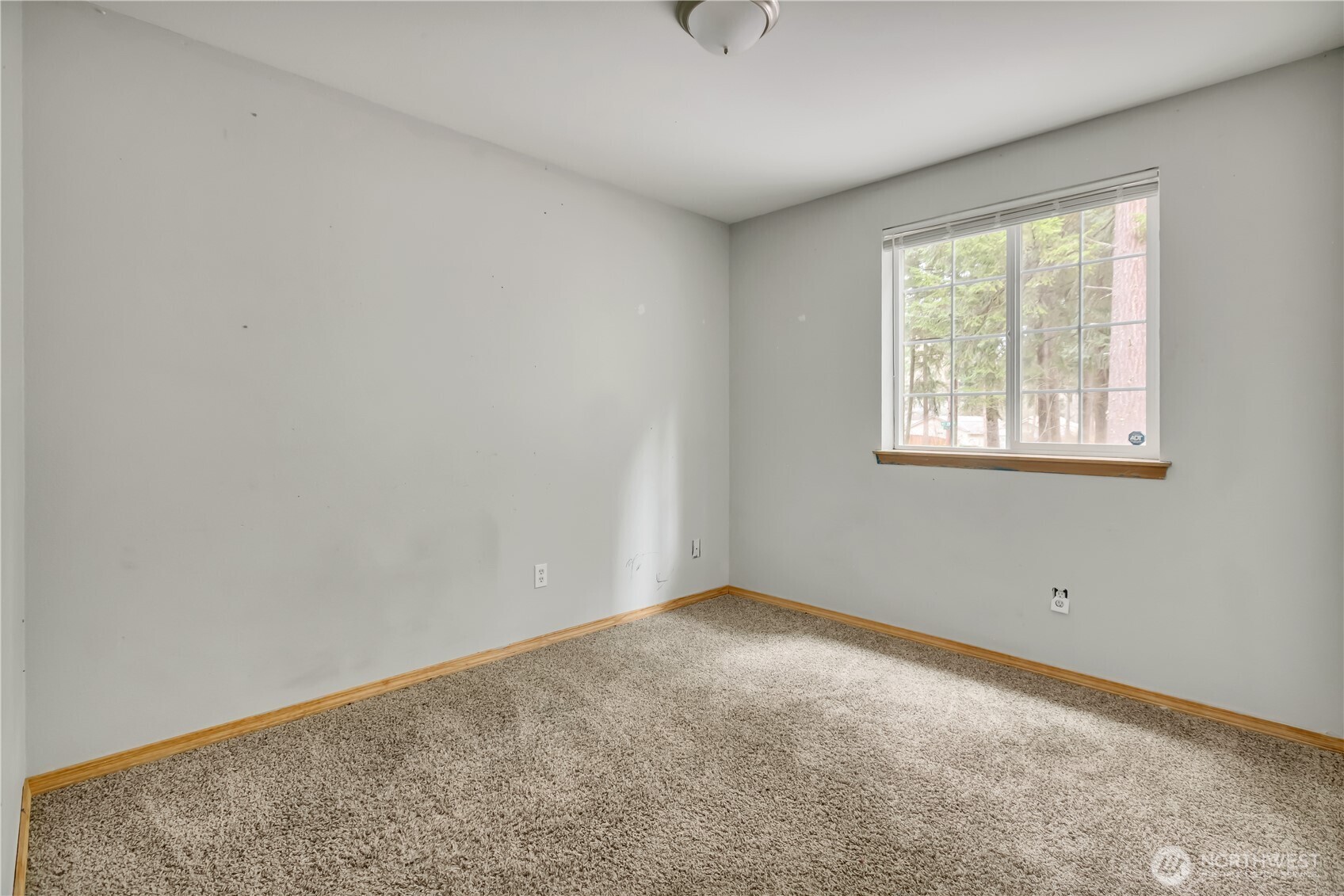 17301 W View Lane SE, Yelm, WA 98597