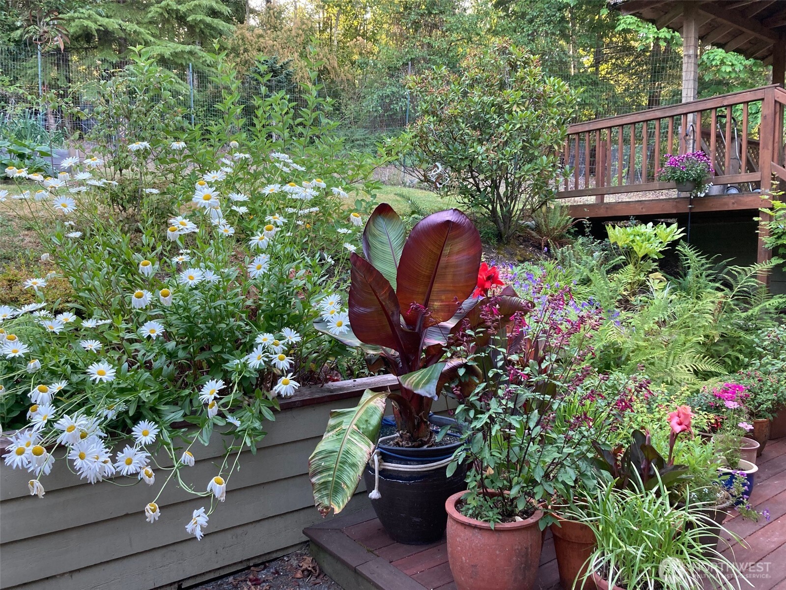 1636 Amy Court , Bellingham, WA 98226