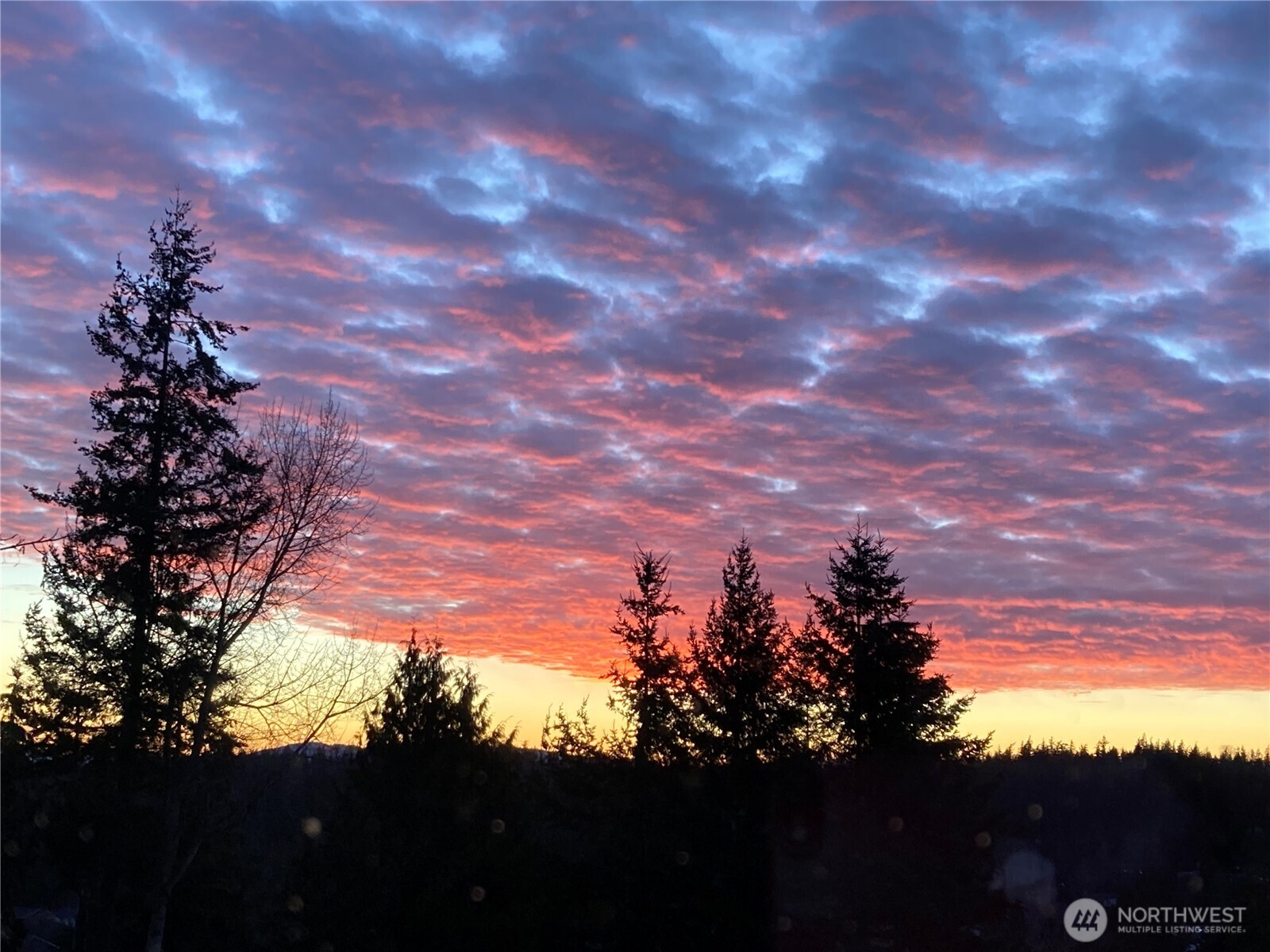 1636 Amy Court , Bellingham, WA 98226