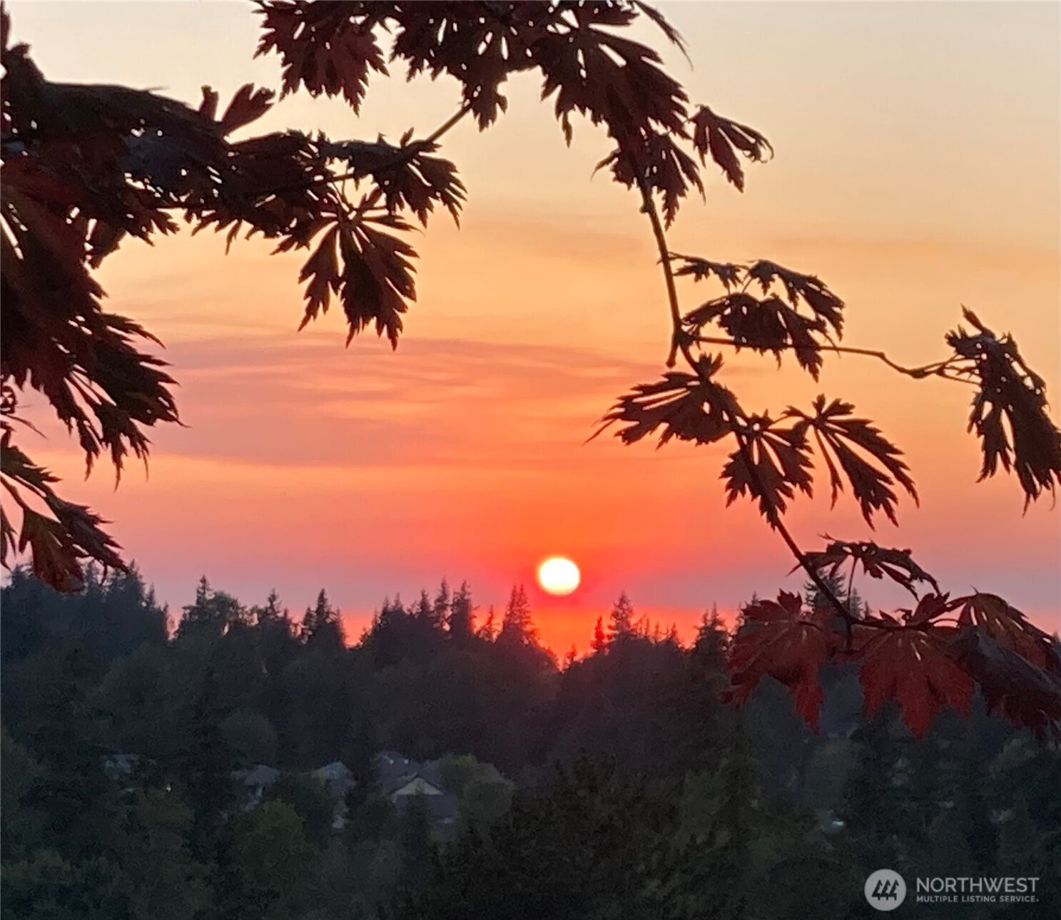 1636 Amy Court , Bellingham, WA 98226