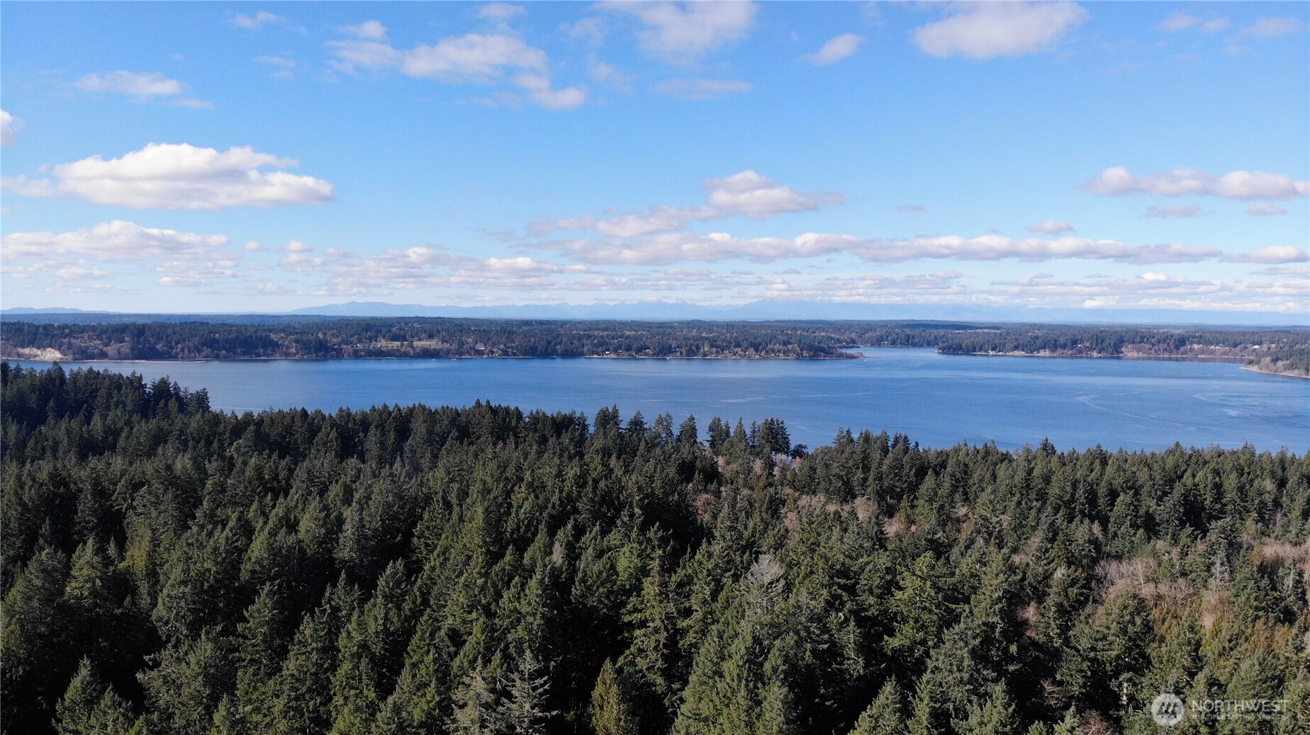 8912 126th Avenue Ct , Anderson Island, WA 98303